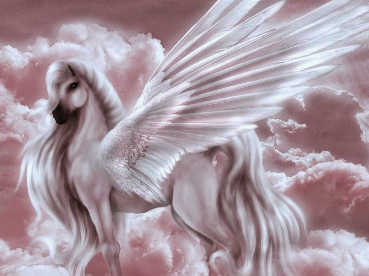 VOSOTROS SOIS UN PACK COMPLETO – Hilios desde Antares