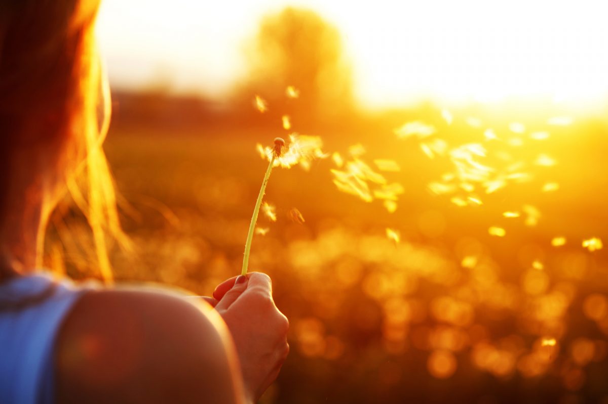 MEDITACIÓN DE LUNA LLENA: «Decir adiós a lo viejo para dar paso a lo nuevo»