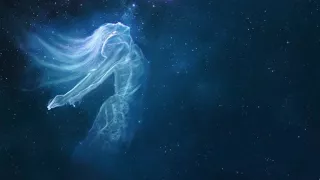 CÓMO ELEVAR LA PROPIA CONCIENCIA – Adama a través de Aurelia L. Jones