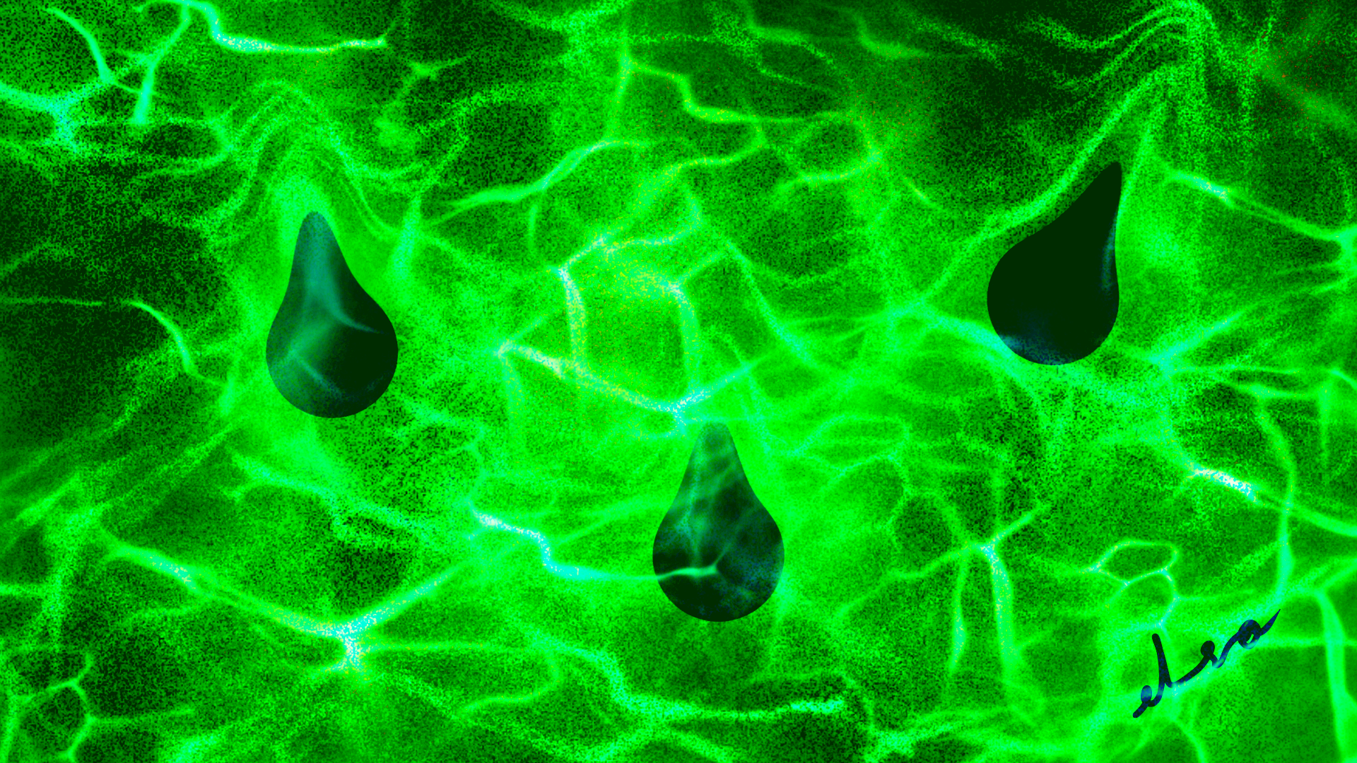 «Muchos de sus miedos ni siquiera son propios. En la medida que sientan la energía del Amor vibrando en ustedes, sus miedos irán desapareciendo.»