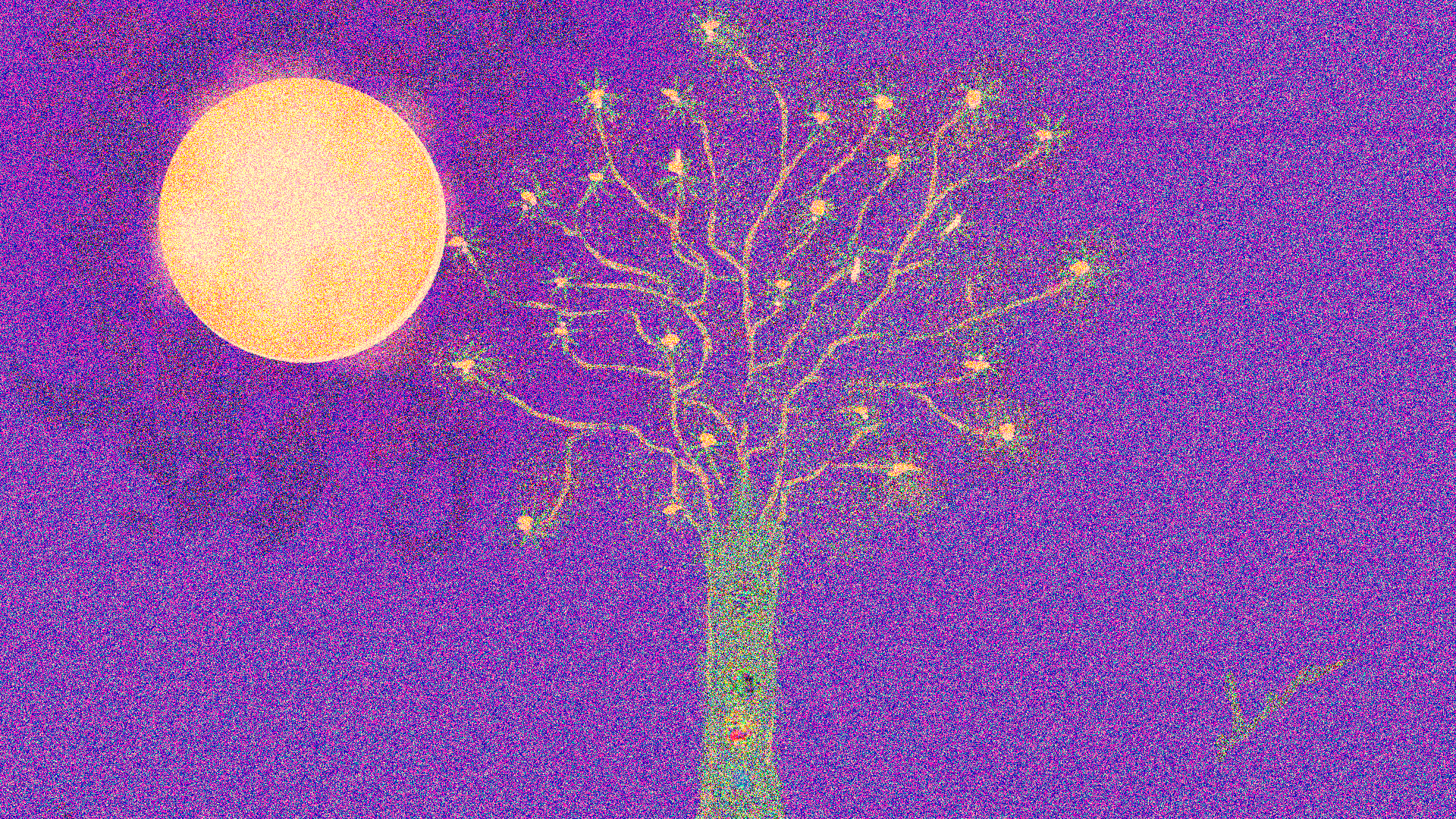 PRIMAVERA – Un poema recitado de Gloria Fuertes