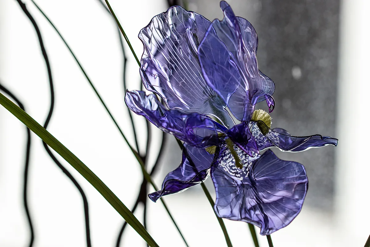 TRANSFORMAR EL MIEDO EN AMOR – Thich Nhat Hanh