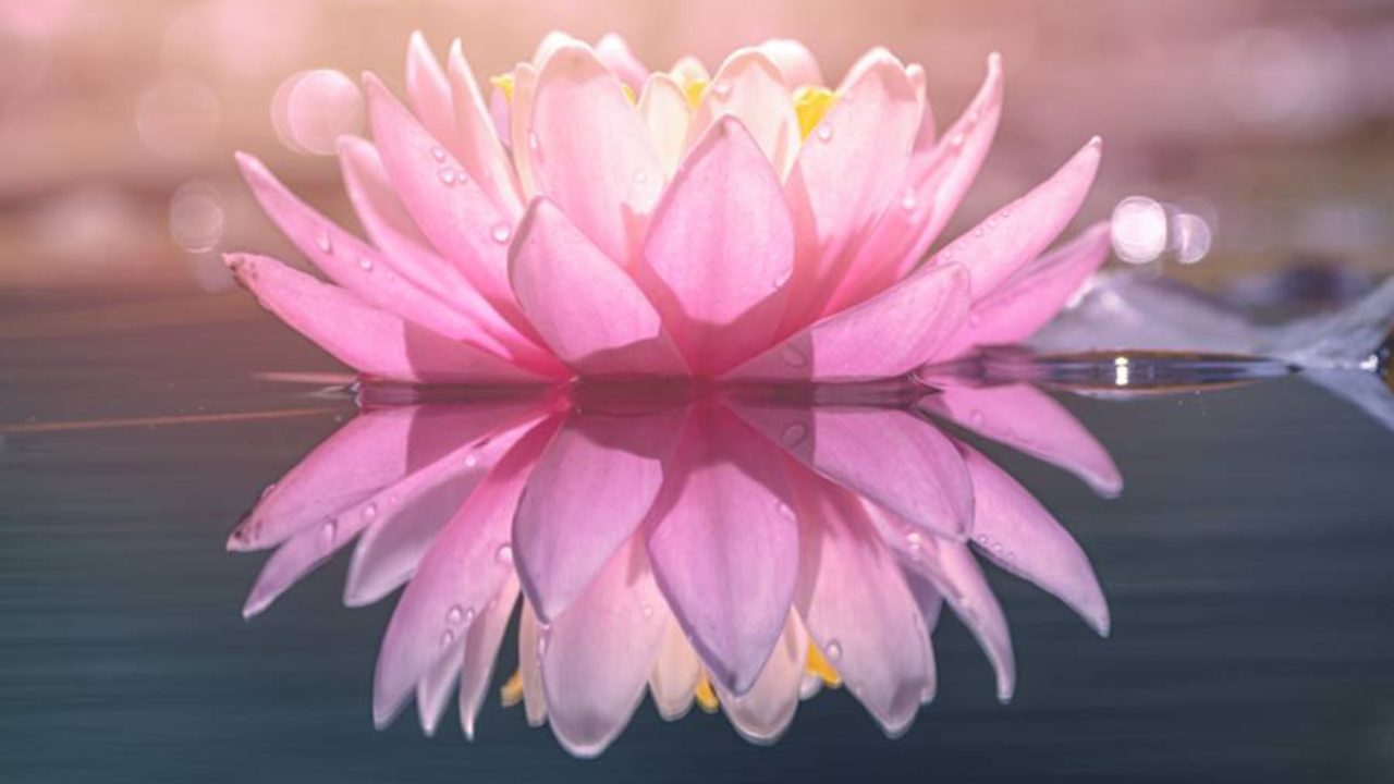 SER ESPIRITUAL – Xavier Pedro Gallego