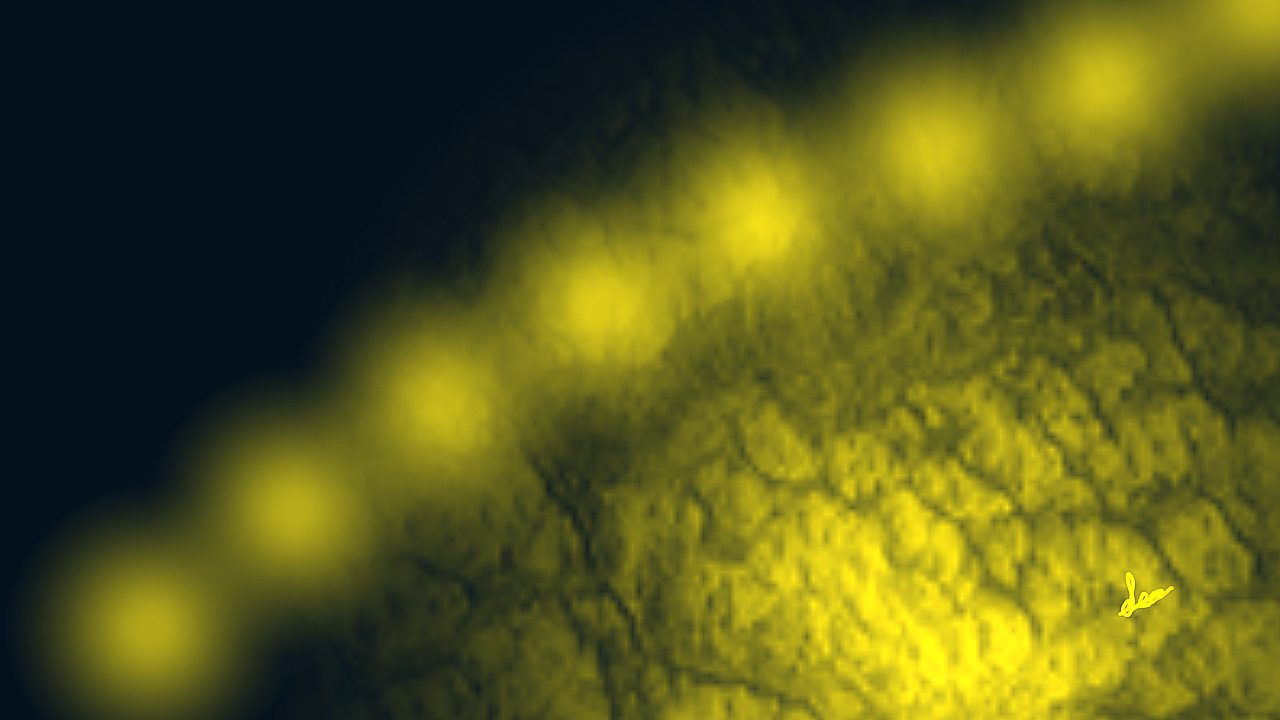 «La culpa es la mejor fuerza para inculcar frustraciones y miedos, para limitar la capacidad de evolucionar, de explorar y de ascender.»