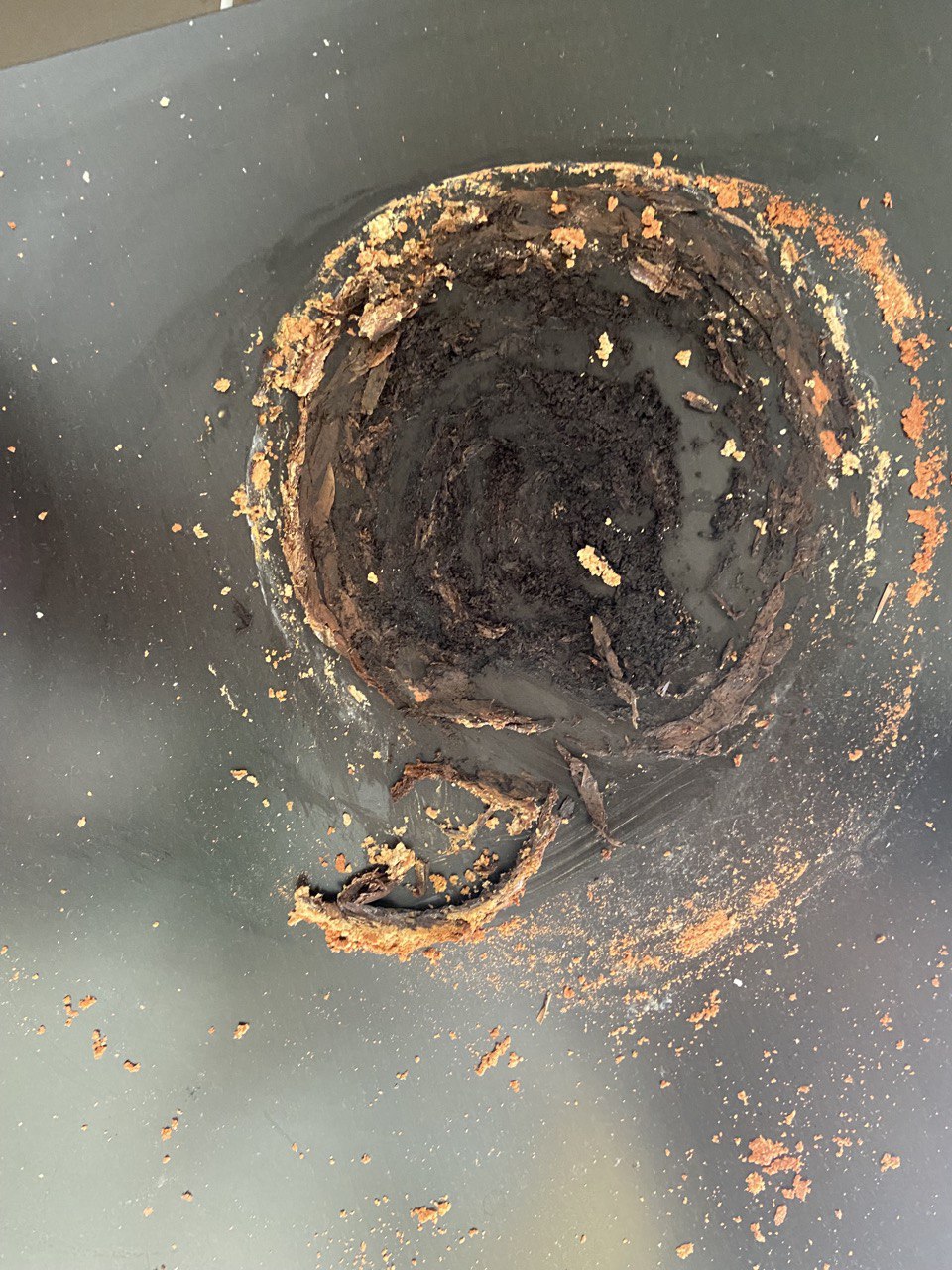 SANACIÓN ÁURICA – Maestro Hilarión a través de Omar Winehouse