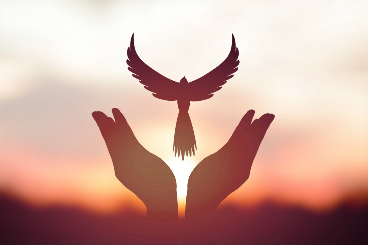 LA ENTREGA COMO ANTESALA DE LA PAZ – Elsa y Javier