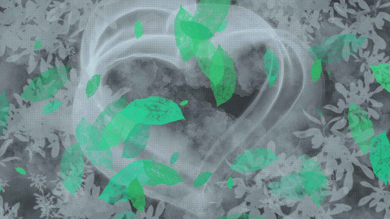 ACCIÓN DE SERVICIO, REACCIÓN DE AMOR – Richard Karlen