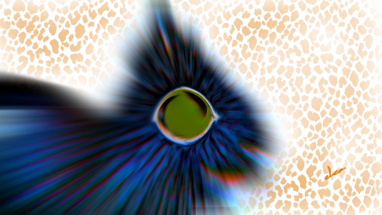 RECOMENDACIONES A SEGUIR TRAS LA APERTURA DEL PORTAL 88 – Ashirion a través de Gisela Rodríguez