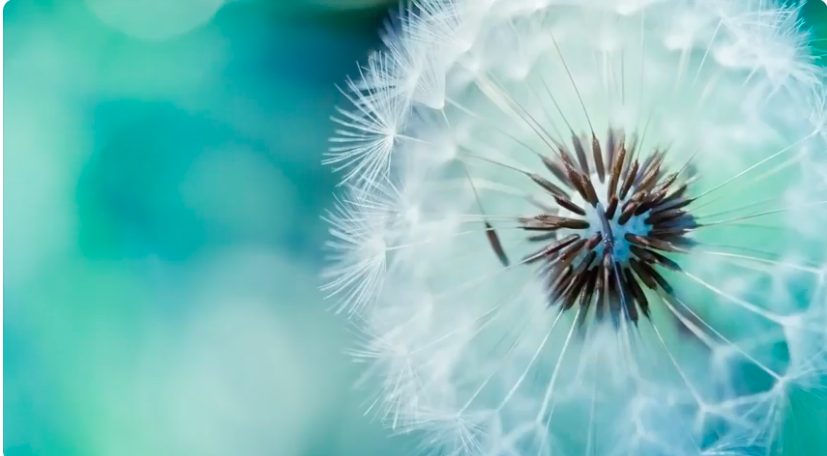 MEDITACIÓN GUIADA POR EL ARCÁNGEL GABRIEL
