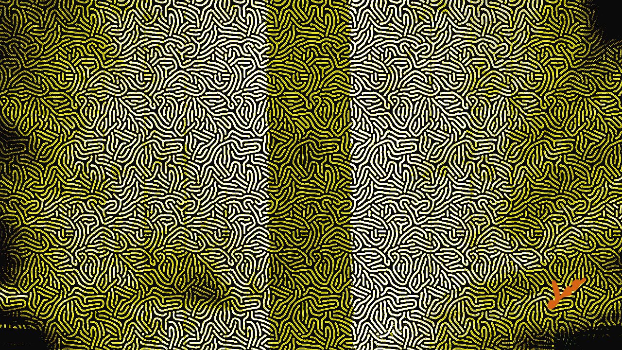 «Ya sabéis que no tenéis que depender de nadie para tomar vuestras decisiones, pero aún lo hacéis con vuestros guías espirituales y vuestra alma.»