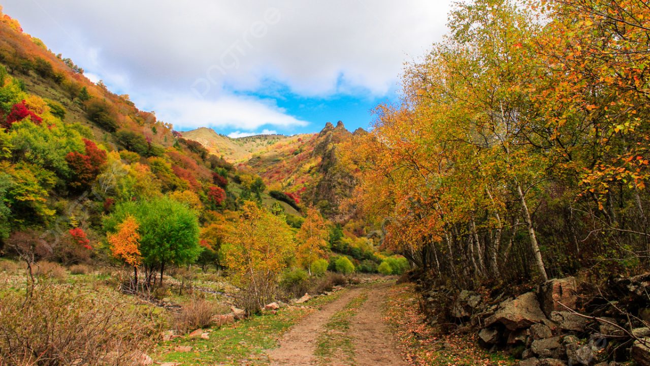 EL TEMPLO DE LA MISERICORDIA